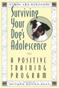 Cover image for Surviving Your Dog's Adolescence: A Positive Training Program