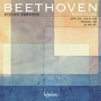 Cover image for Beethoven Bagatelles