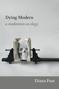 Cover image for Dying Modern: A Meditation on Elegy