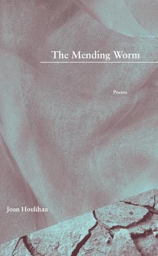 Cover image for The Mending Worm