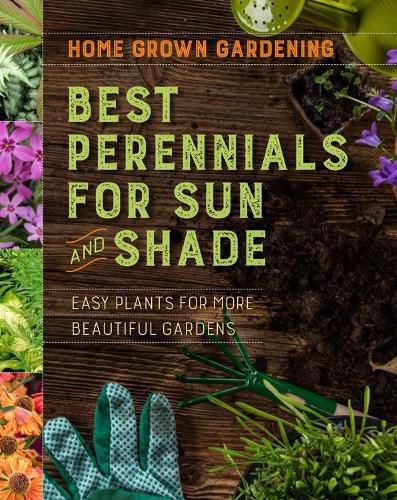 Cover image for Best Perennials For Sun And Shade