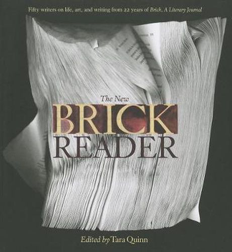 Cover image for The New Brick Reader