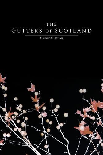 Cover image for The Gutters of Scotland