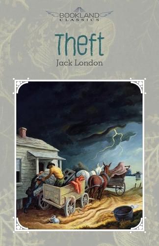 Cover image for Theft