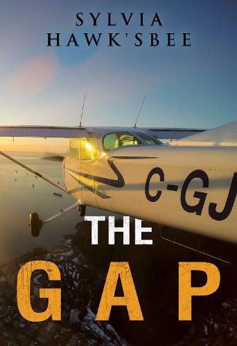 Cover image for The Gap