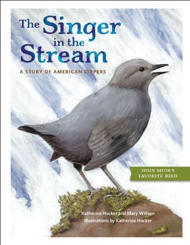 Cover image for The Singer in the Stream: A Story of American Dippers