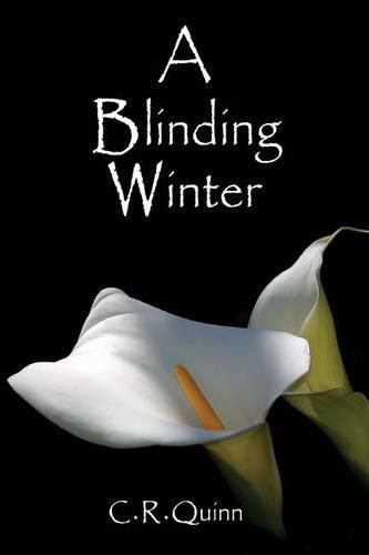 Cover image for A Blinding Winter