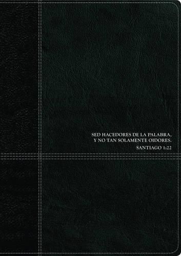 Cover image for Biblia de estudio del diario vivir RVR60, DuoTono