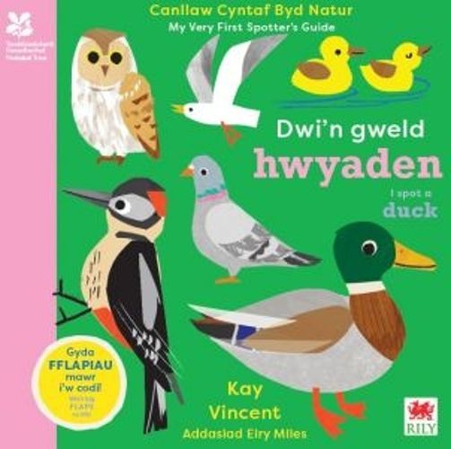 Cover image for Dwi'n Gweld Hwyaden / I Spot a Duck