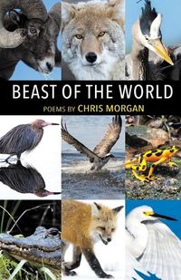 Cover image for Beast of the World