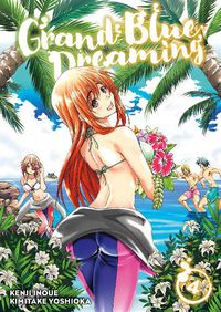 Cover image for Grand Blue Dreaming 4