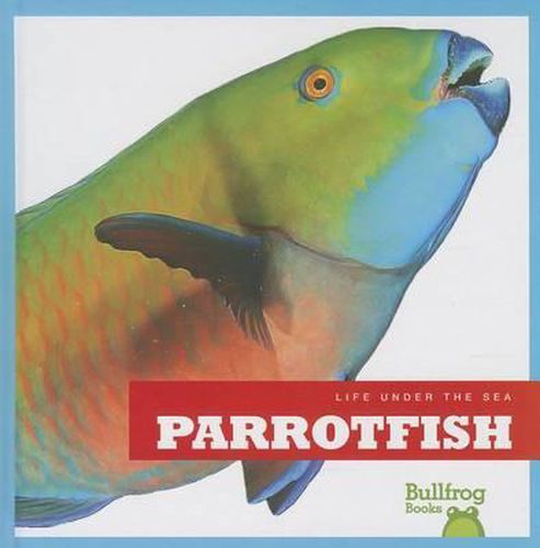 Cover image for Parrotfish