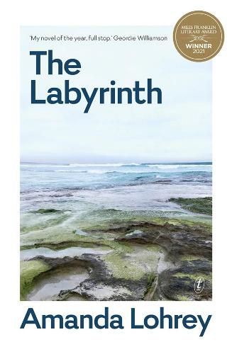 Cover image for The Labyrinth