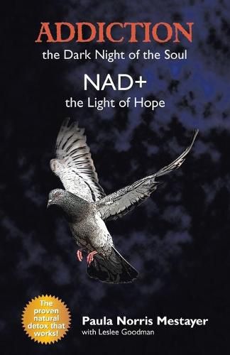 Cover image for Addiction: the Dark Night of the Soul/ Nad+: the Light of Hope