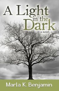Cover image for A Light in the Dark