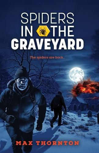 Cover image for Spiders in the Graveyard