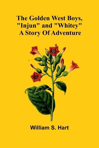 Cover image for The Doves Nest, and Other Stories (Edition1)