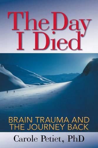 Cover image for The Day I Died: Brain Trauma and the Journey Back