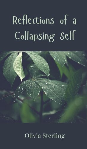 Cover image for Reflections of a Collapsing Self