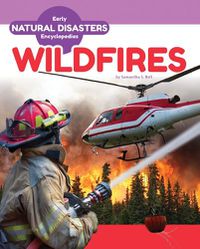 Cover image for Wildfires