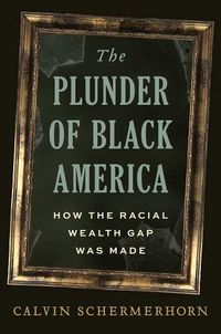 Cover image for The Plunder of Black America