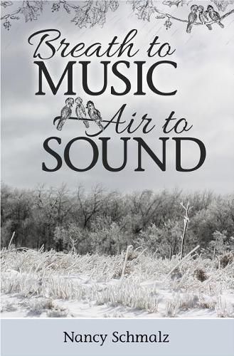 Cover image for Breath to Music, Air to Sound