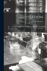 Cover image for Incubation