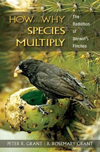 Cover image for How and Why Species Multiply: The Radiation of Darwin's Finches