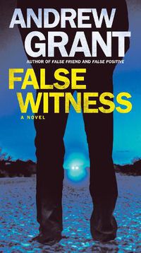 Cover image for False Witness: A Novel