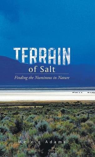 Cover image for Terrain of Salt