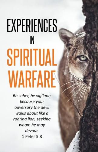 Cover image for Experiences In Spiritual Warfare