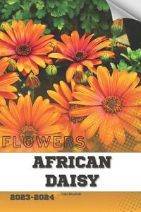 Cover image for African Daisy