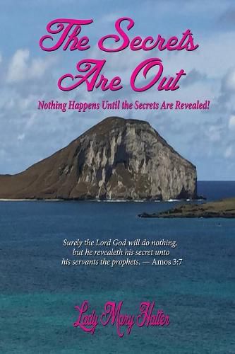 Cover image for The Secrets Are Out: Nothing Happens Until the Secrets Are Revealed!