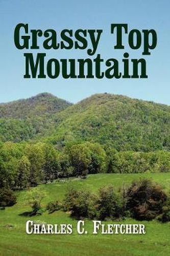 Cover image for Grassy Top Mountain