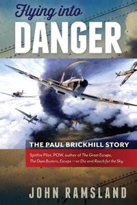 Cover image for Flying into Danger