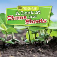 Cover image for A Look at Stems and Shoots