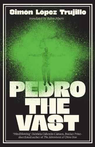 Cover image for Pedro the Vast