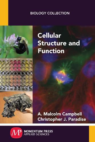 Cover image for Cellular Structure and Function