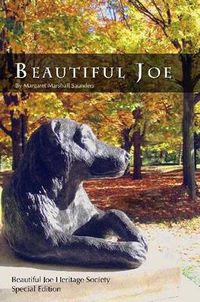 Cover image for Beautiful Joe