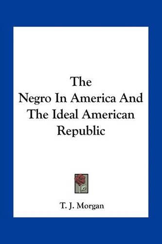 The Negro in America and the Ideal American Republic