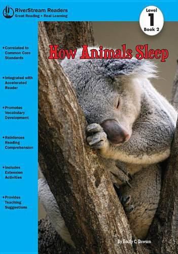 Cover image for How Animals Sleep