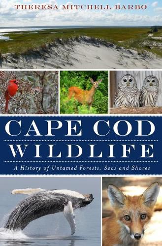 Cover image for Cape COD Wildlife: A History of Untamed Forests, Seas and Shores