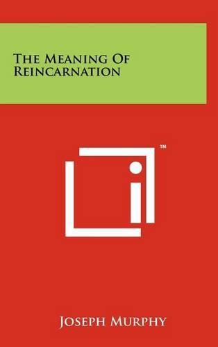 Cover image for The Meaning of Reincarnation