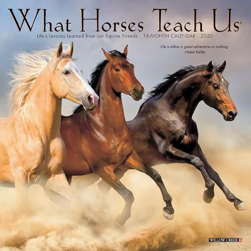 Cover image for What Horses Teach Us 2020 Mini Wall Calendar