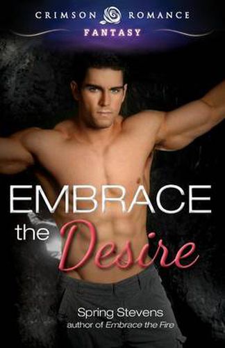 Cover image for Embrace the Desire