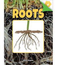 Cover image for Roots