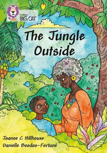 Cover image for The Jungle Outside: Band 11/Lime