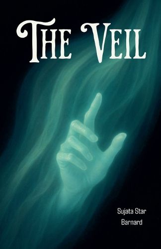 Cover image for The Veil