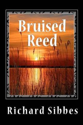 Cover image for Bruised Reed