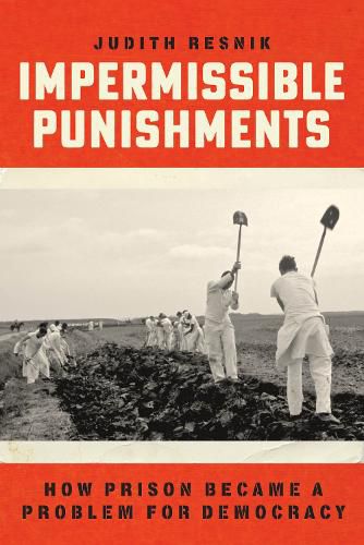 Cover image for Impermissible Punishments